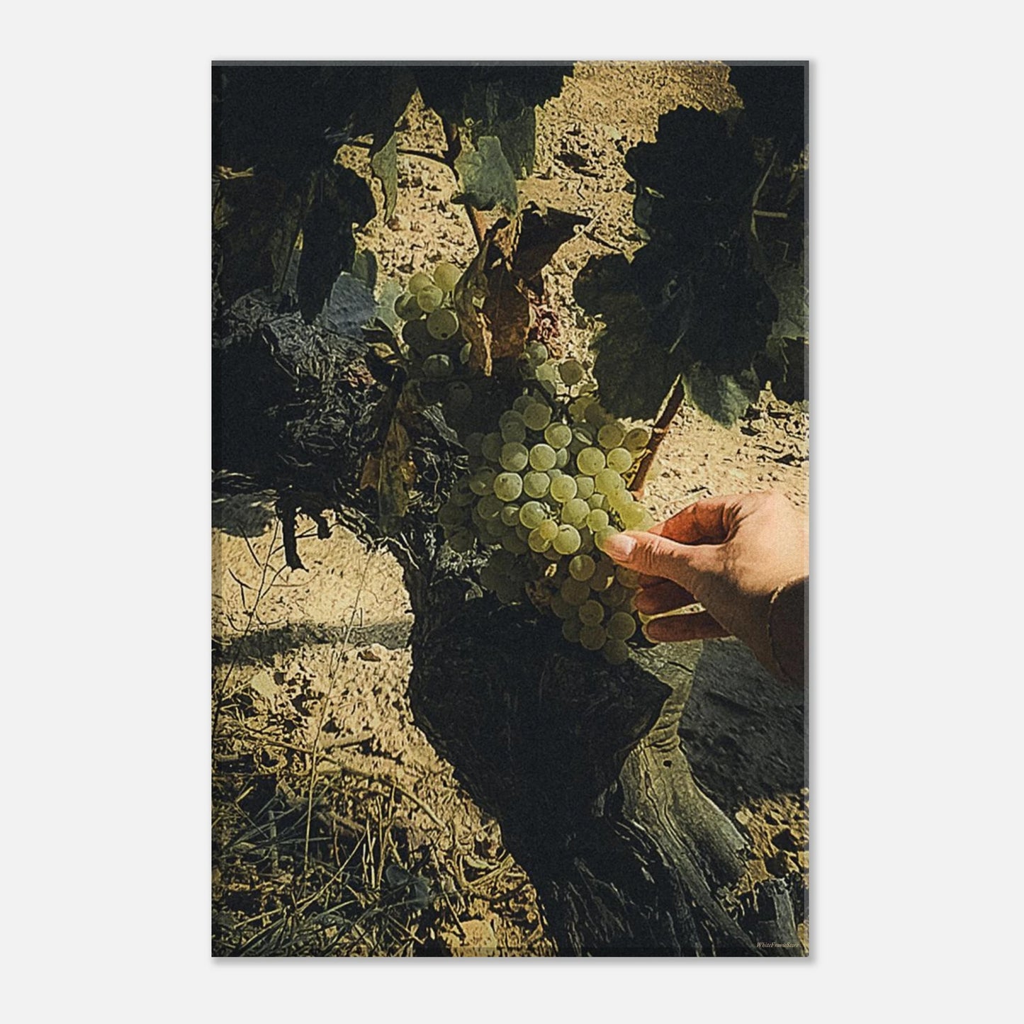 591430e7-6727-4a64-8429-1f6a10e59552