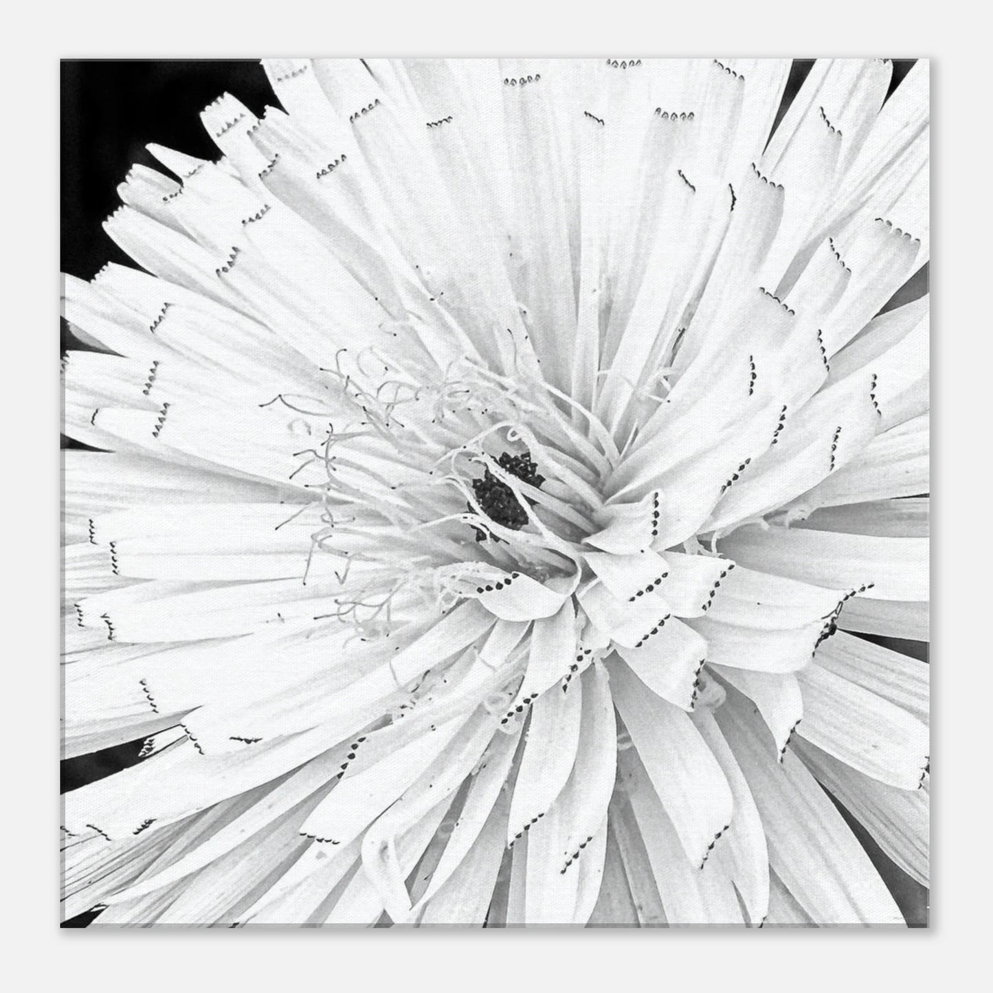 596cf9d7-8230-4c11-ad97-1297da4bf1d3