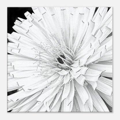 596cf9d7-8230-4c11-ad97-1297da4bf1d3