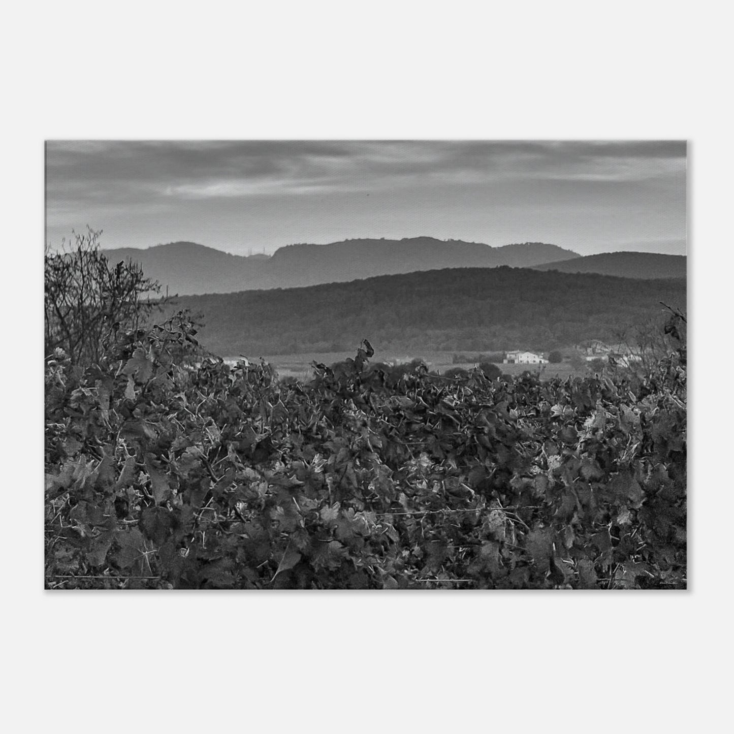 598ff8a4-d7bb-4a21-89af-a9cf69acd61f