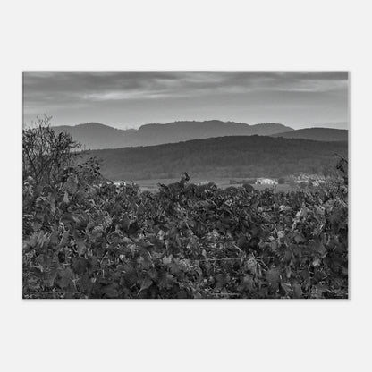 598ff8a4-d7bb-4a21-89af-a9cf69acd61f