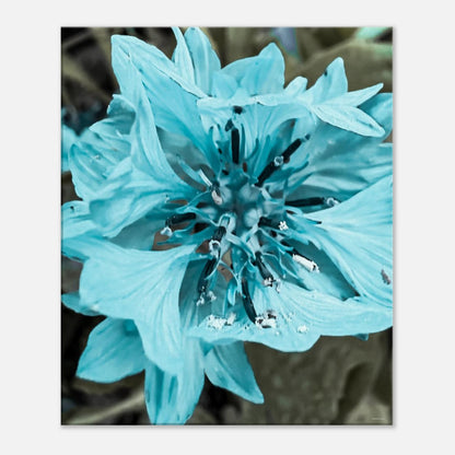 59ac274f-9899-4a71-a5a2-47168fd02822