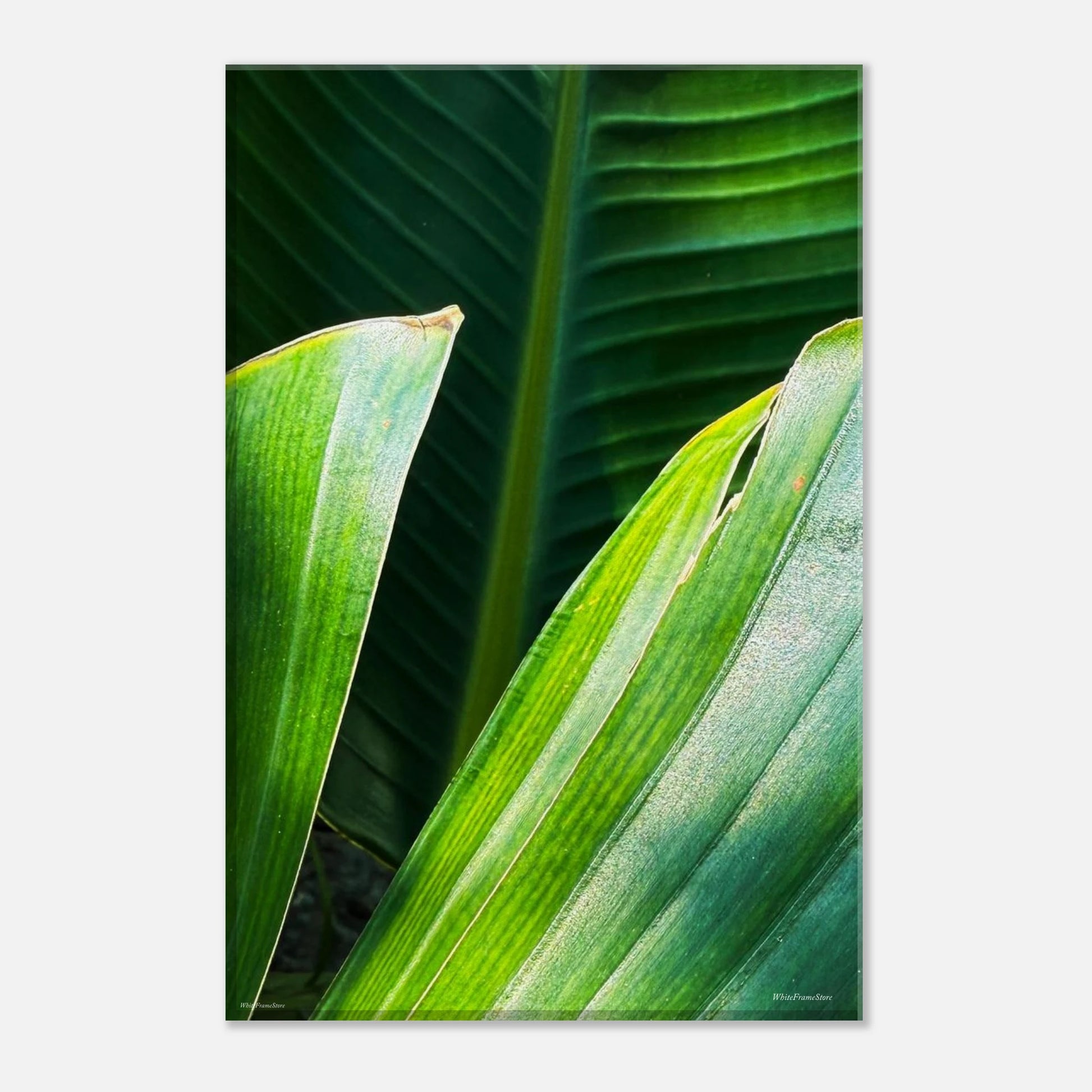 59b255f9-ba84-4afe-ad32-852c94e5ae0a