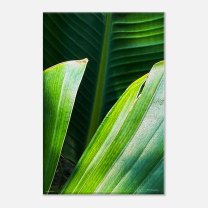 59b255f9-ba84-4afe-ad32-852c94e5ae0a