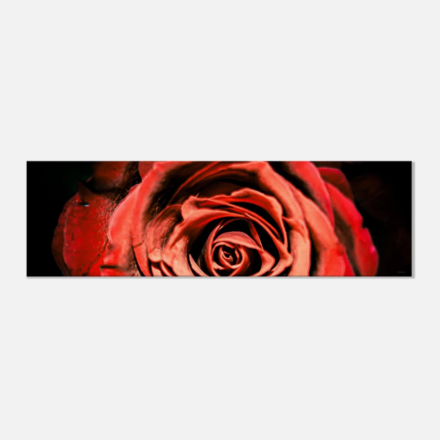 5a105cb8-7dd8-4bf8-b148-68836e1069e3