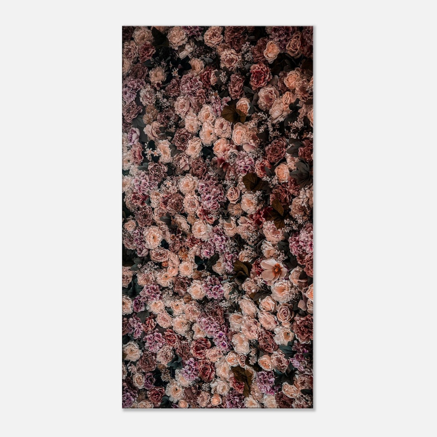 5a202a30-ed7a-4ce6-859a-5d7499a3e0e4