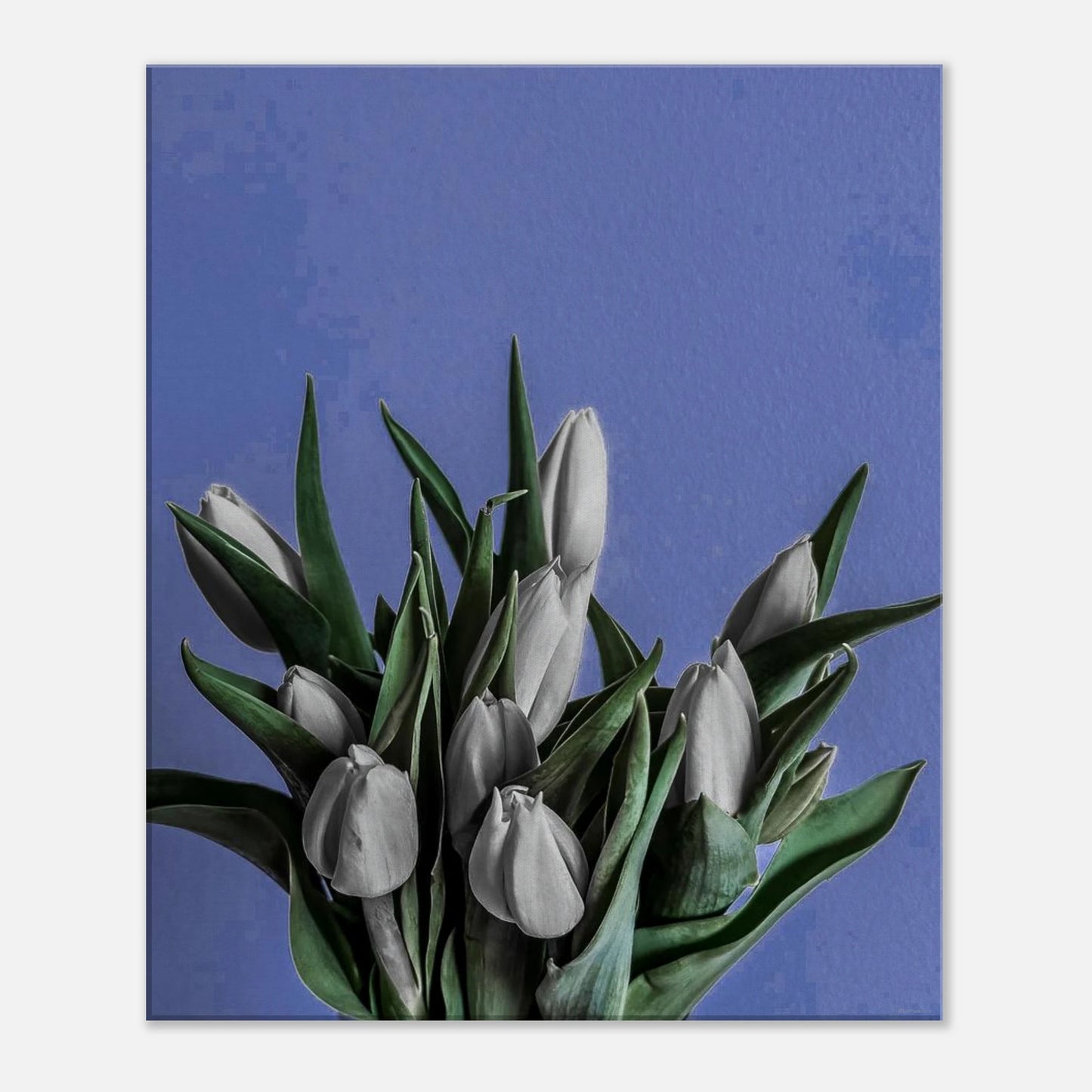 5a26125a-0b8a-4200-b159-5cba08678964