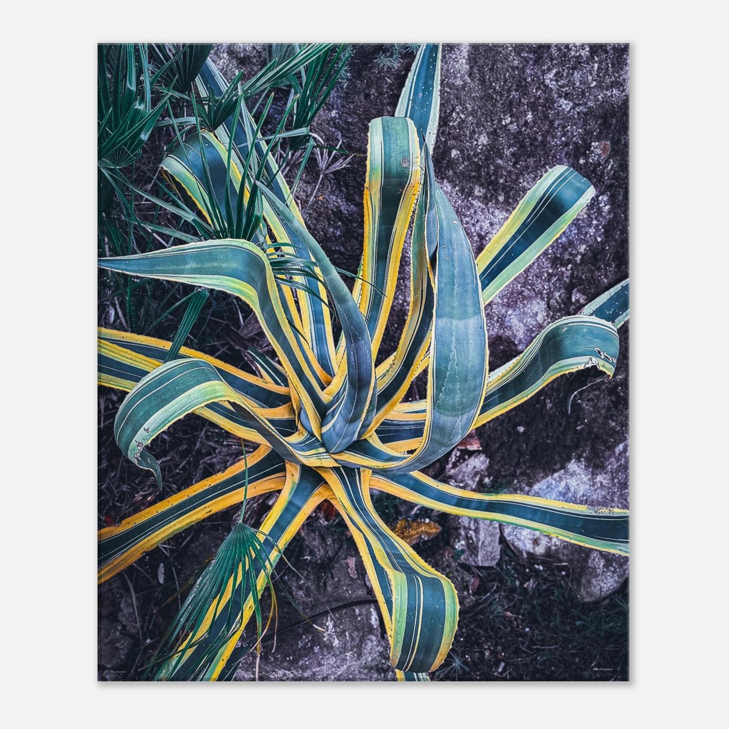 5a3ce595-4c0b-4b6b-be6b-ee735d4c9fe5