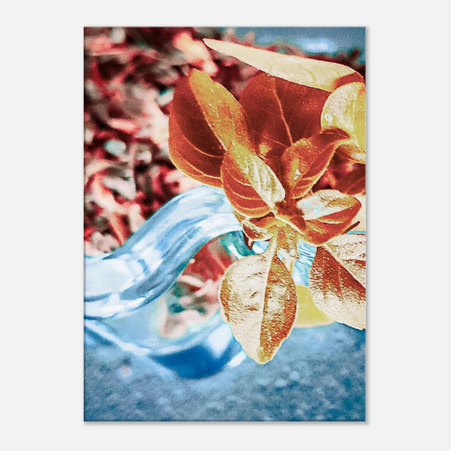 5a401bdd-6910-4af9-97e0-e0bc08c336fa