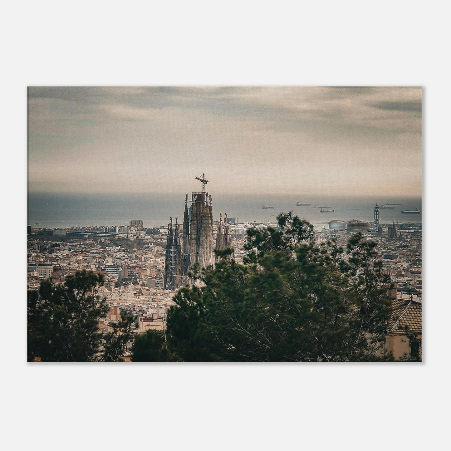 5a7467d7-0504-4d93-af87-d6fbe5ba8d57