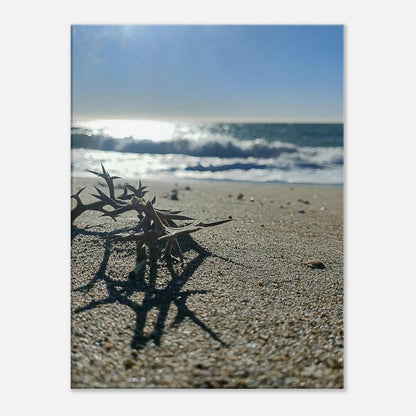 5a763483-8661-4408-8e3a-ed26320b6865