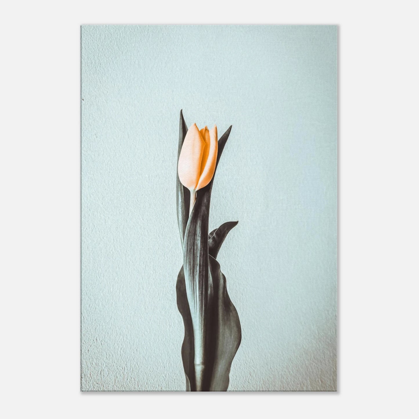 5aa20490-b5f7-4456-ac16-29928b145c55