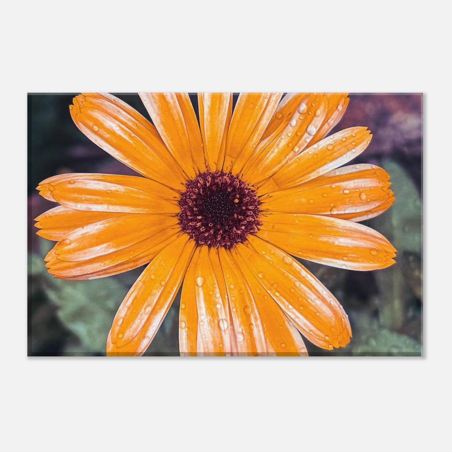 5aa5baa5-dc7c-4783-8f28-85f8561fe9de