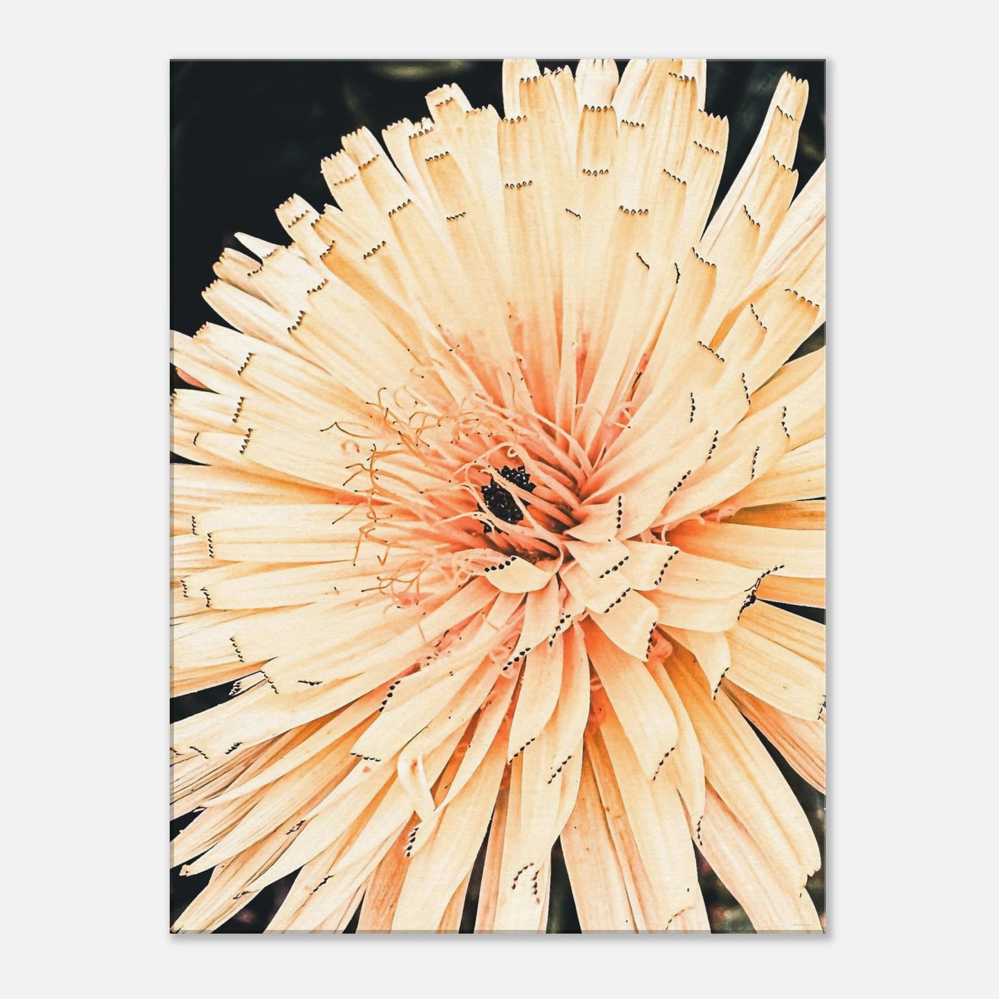 5aa7b804-3351-4e76-8a26-97c3277a7c5d