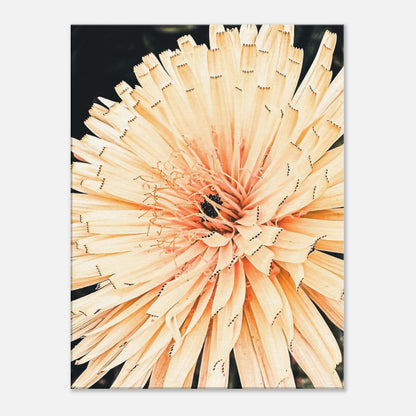 5aa7b804-3351-4e76-8a26-97c3277a7c5d