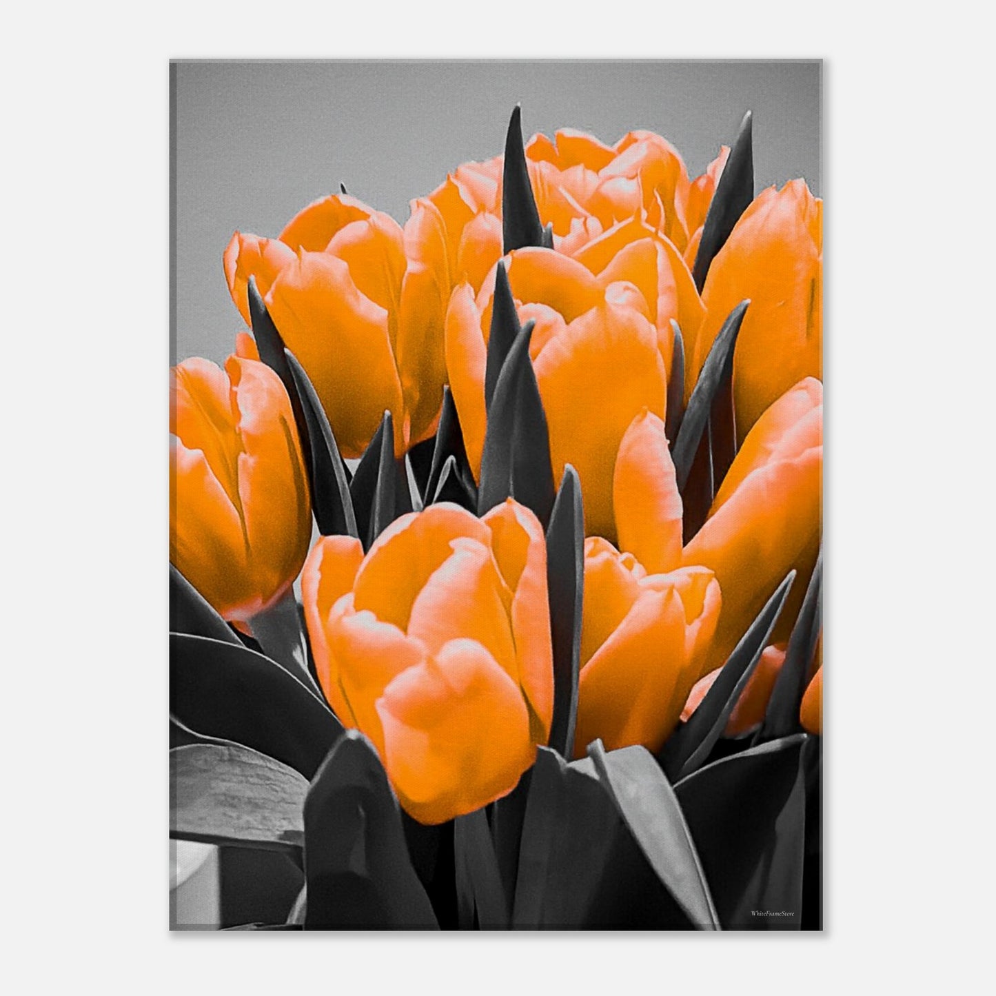 5ac12726-0c4f-4df2-99cf-fcf071797d76