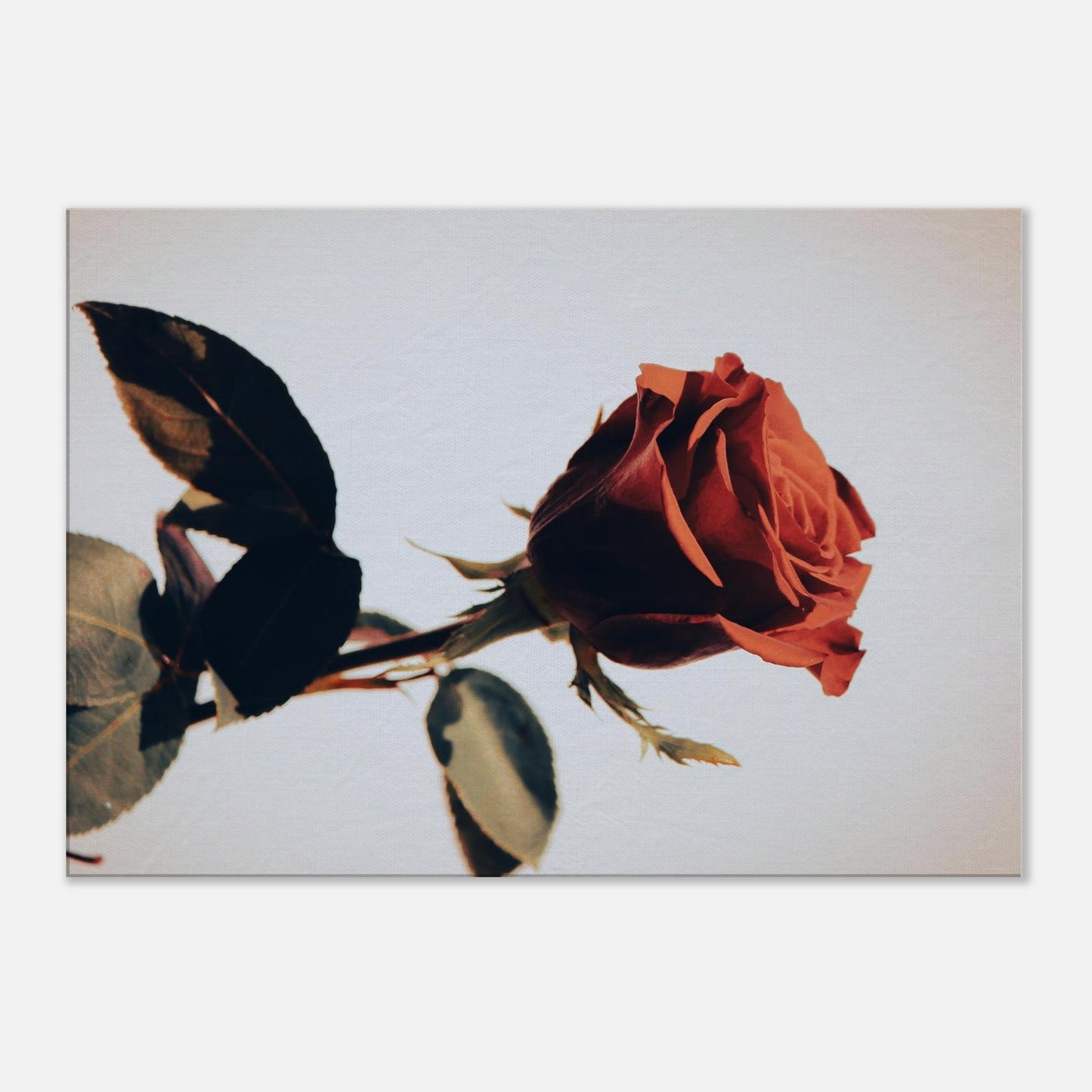 5afeec96-6860-4a20-ae07-3a8297fe05c5