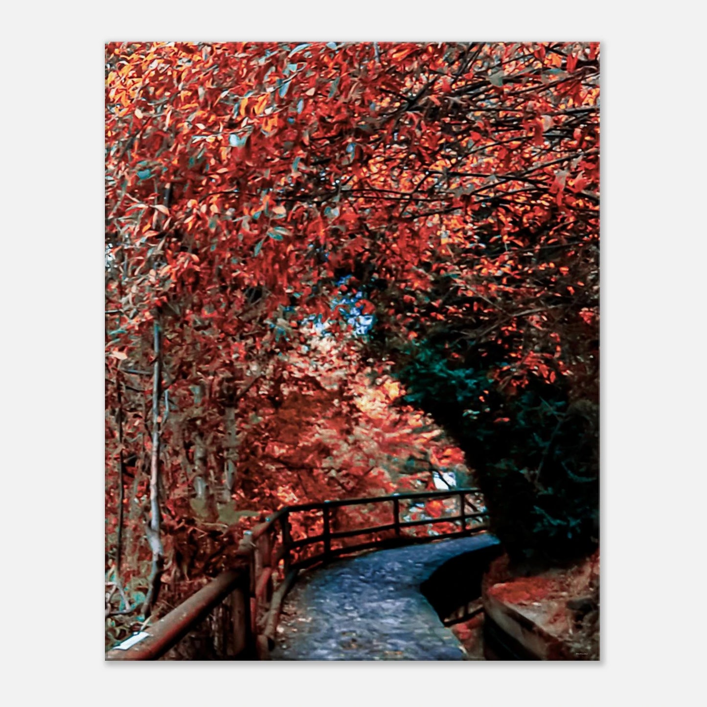 5b24228e-6500-4536-a7f9-e87a3e5b84f9