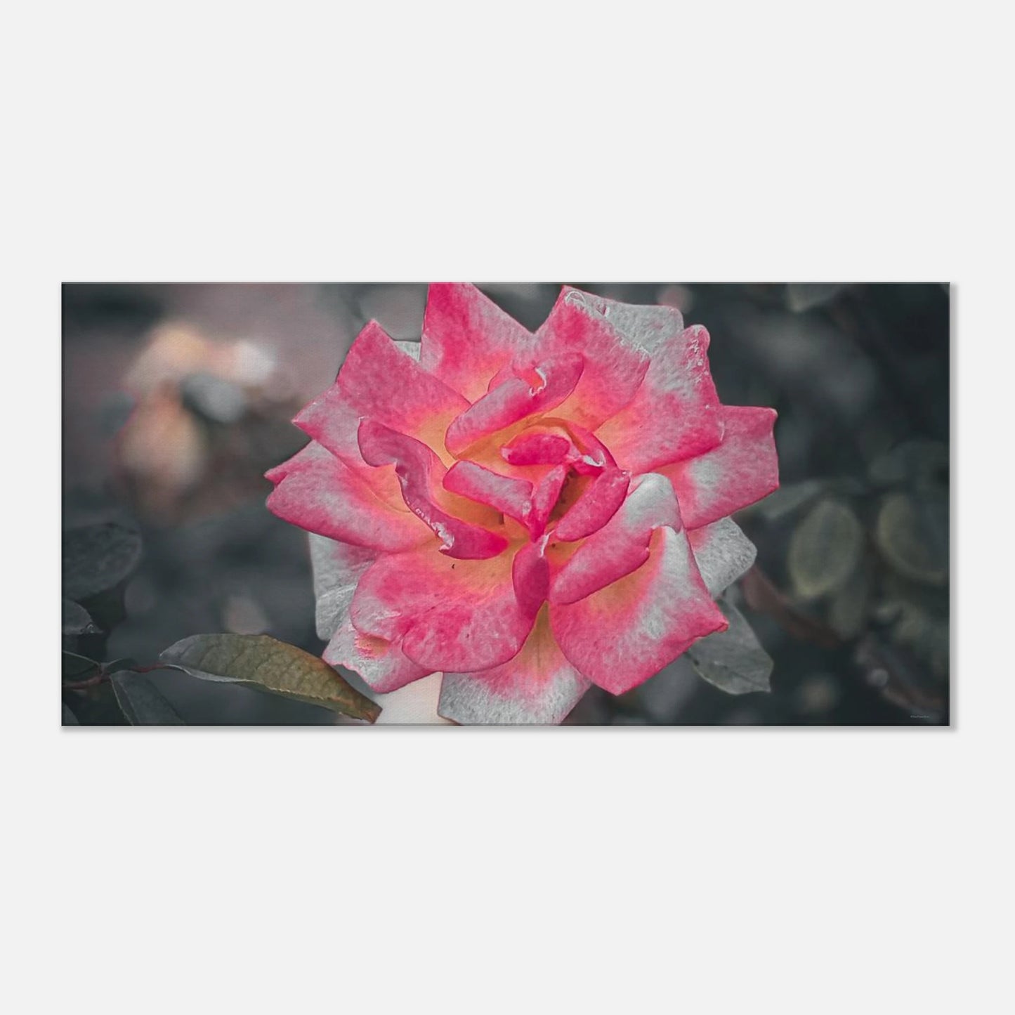 5b332cff-1755-49bd-b8e0-706844551833