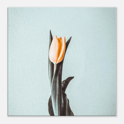 5b4e2c69-8b16-43cd-8d23-4b85fb27f417