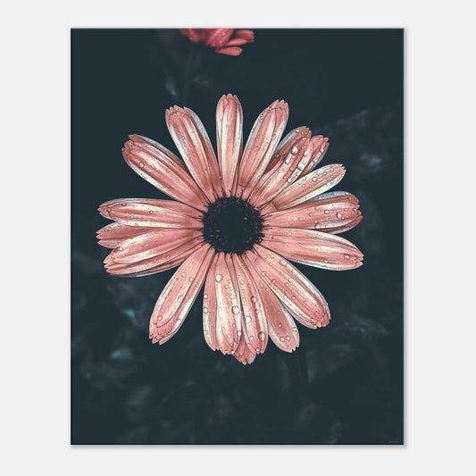 5b6c6bb1-6cbb-4b31-8aba-e4d2757c01fd