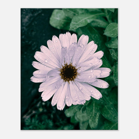 5b847ef2-bbe0-442f-8eed-5df8419e2094