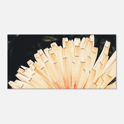 5bb4546d-fa6d-433f-aba5-91538bb1fc37