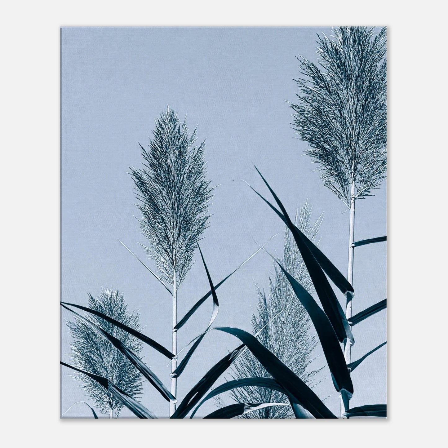 5bf27582-54c3-4723-9365-726b7ed024f8