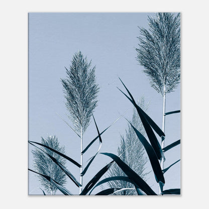 5bf27582-54c3-4723-9365-726b7ed024f8