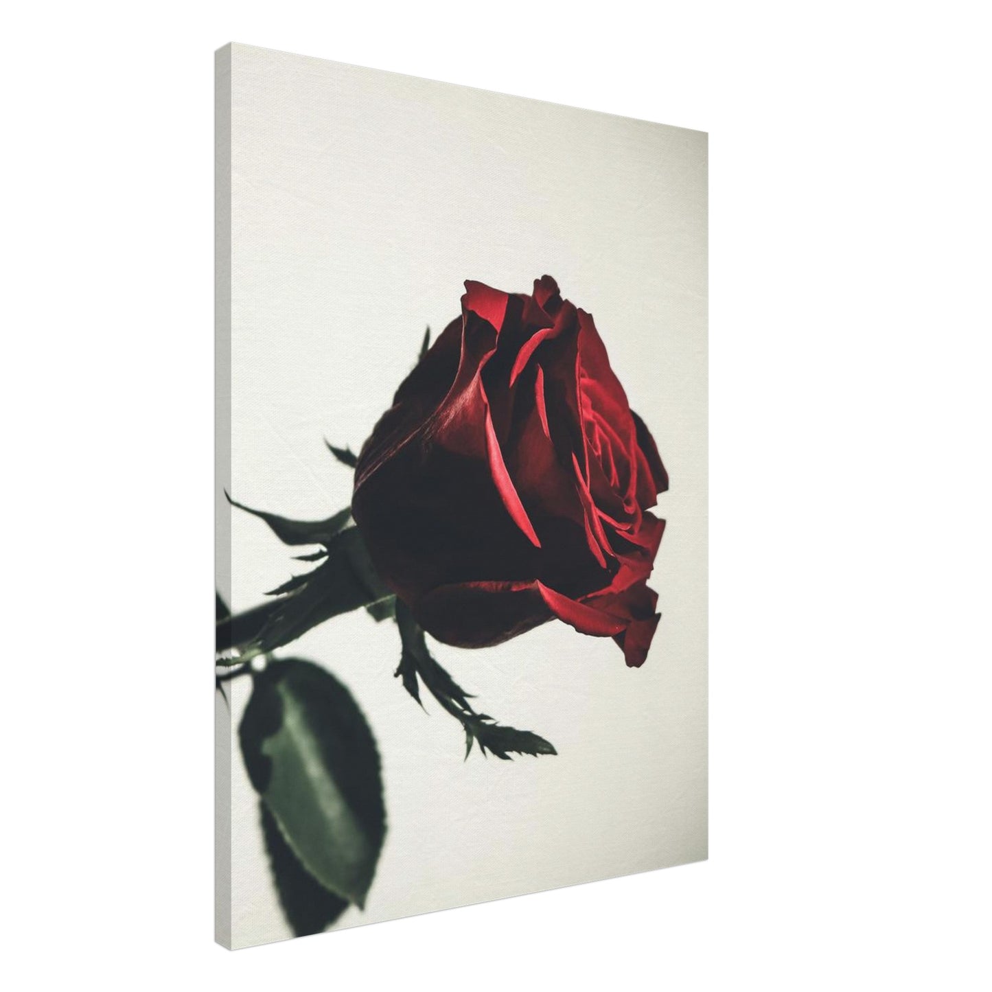 5c0dfaa5-7cad-4cfc-8016-f79d2a948648