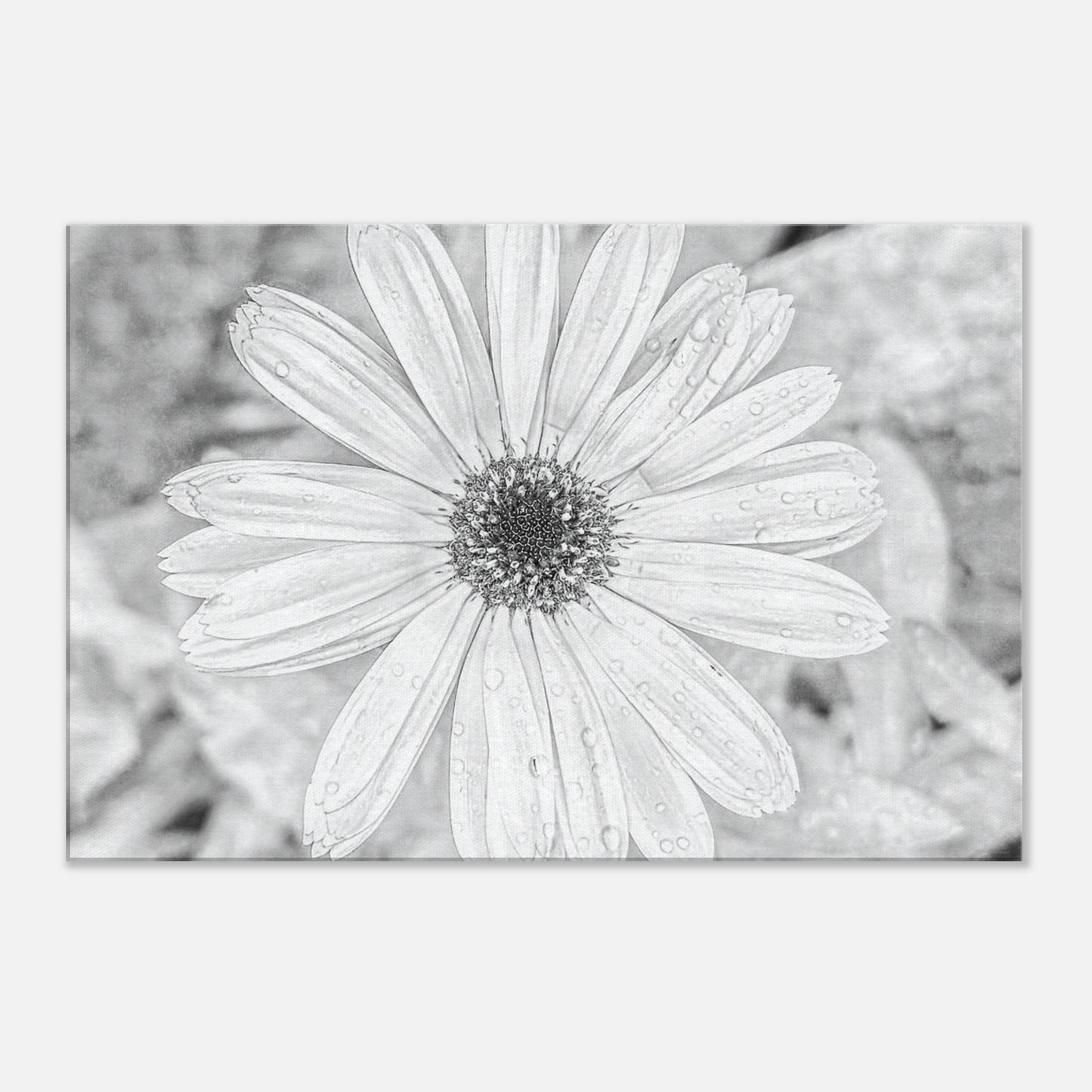 5c4071e3-8d5c-45cd-a428-d5375f278953