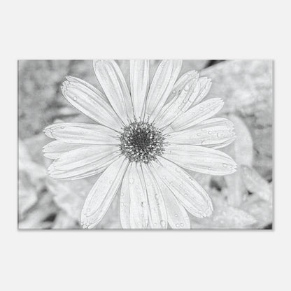 5c4071e3-8d5c-45cd-a428-d5375f278953