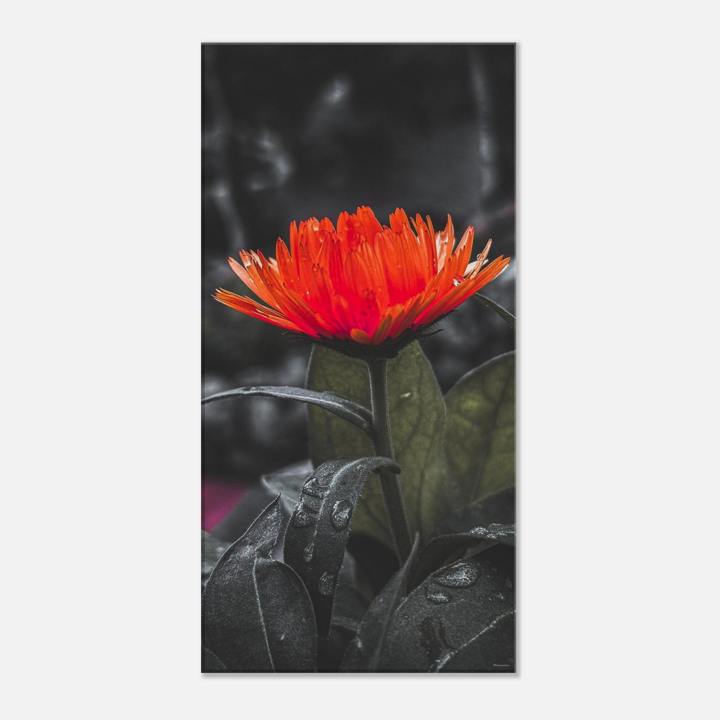 5c4dad57-76df-4bec-b784-ecb9a0649d37