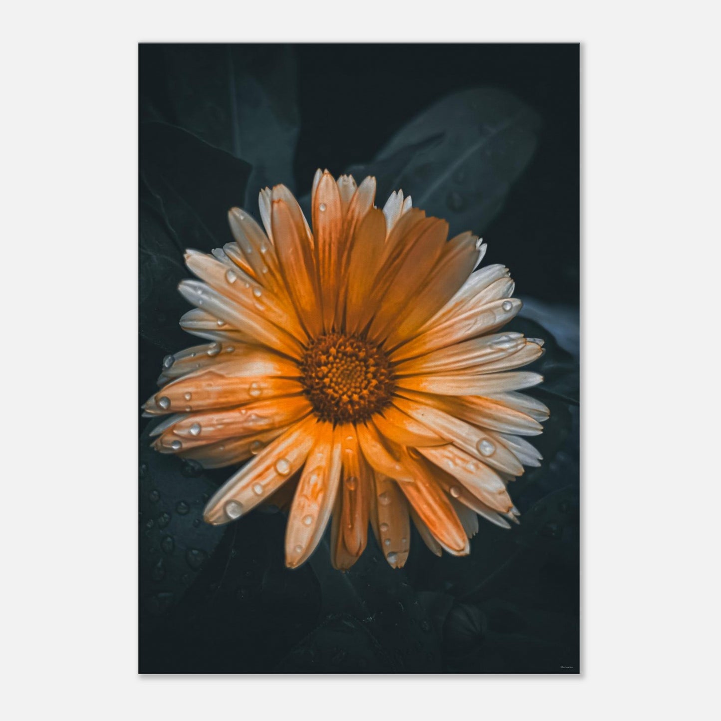 5c535c7d-cf08-4227-9b9c-e15366e38a1e