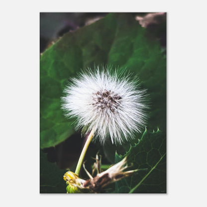 5c63a285-6576-45b5-8d4b-90cb8d94c012