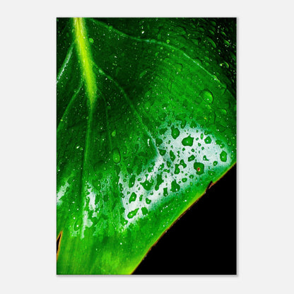 5caf13d5-9cf8-4f00-9e5b-950848249980