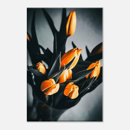 5cb6ea79-50e7-4fd8-a544-9ab1d9c23481