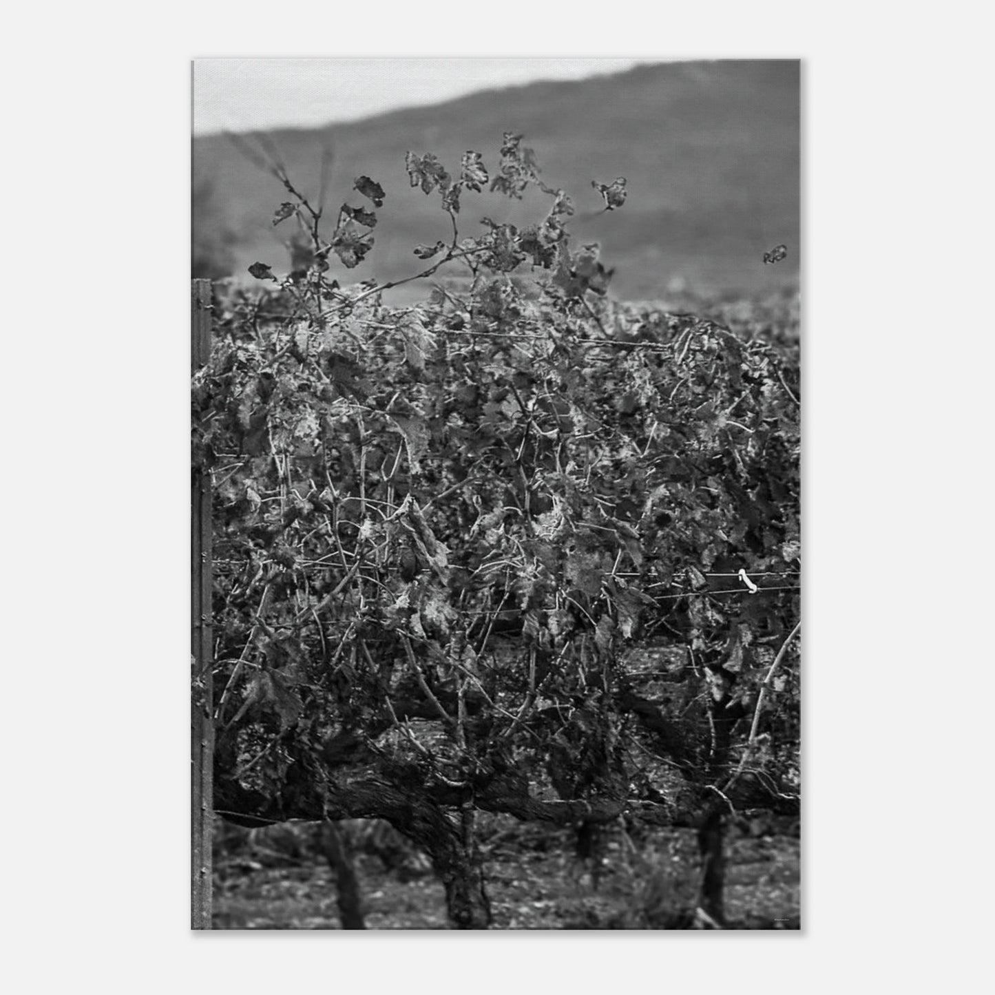 5ce67da0-f370-4103-b1c9-e8068a033eaf