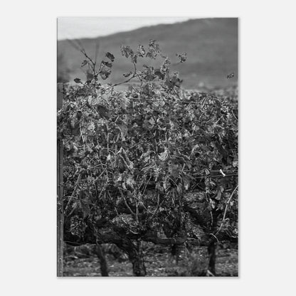 5ce67da0-f370-4103-b1c9-e8068a033eaf