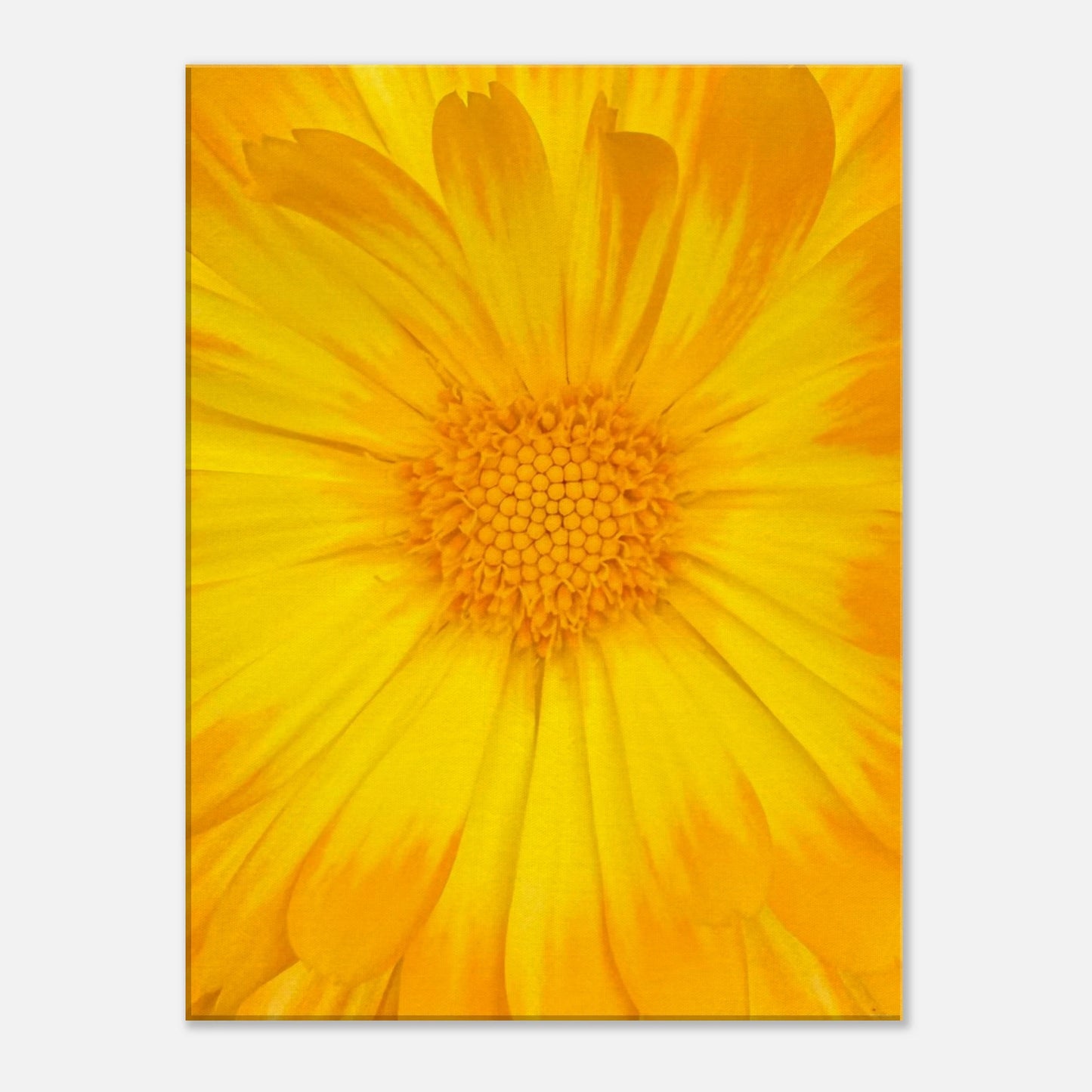 5d02c71c-5dd4-43bc-9001-5df21cb7e46b