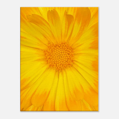 5d02c71c-5dd4-43bc-9001-5df21cb7e46b