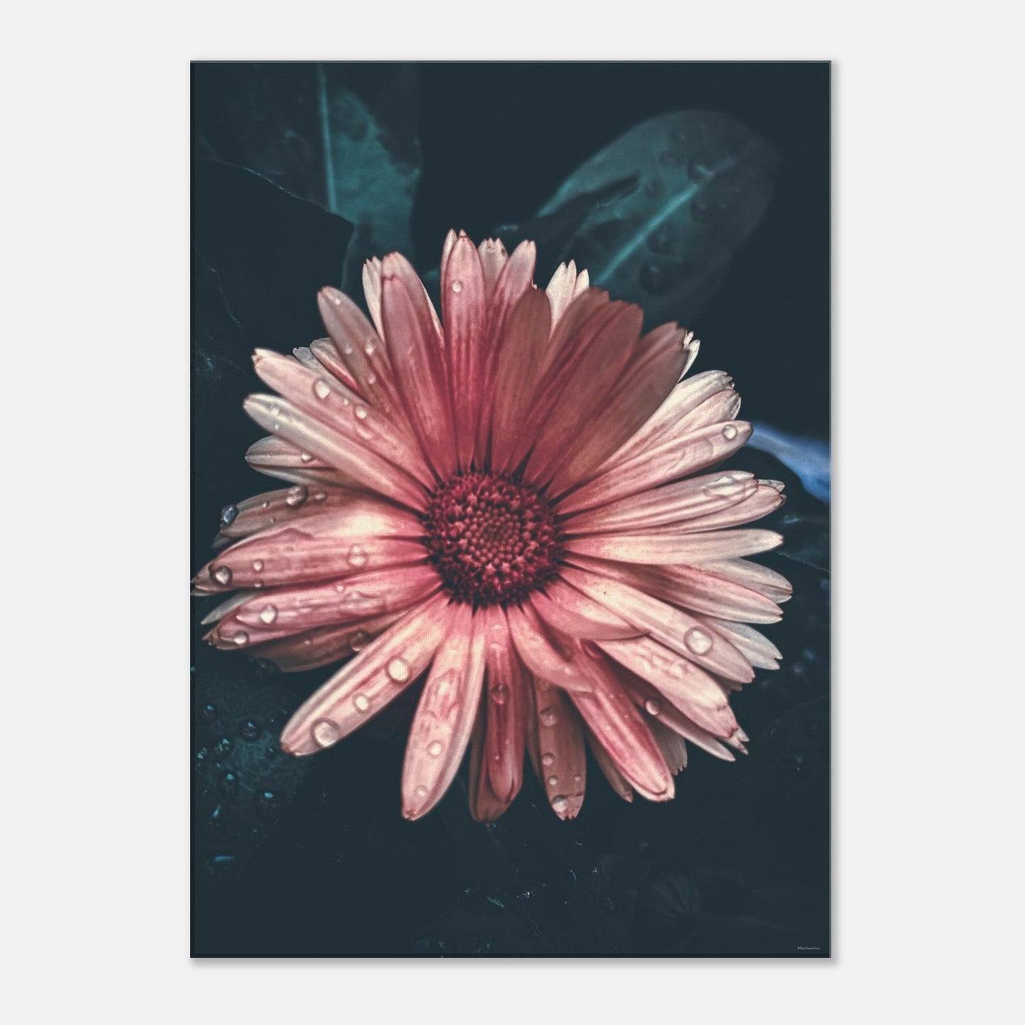 5d0cbf64-ac19-4a1f-83a3-70aa2c64be5b