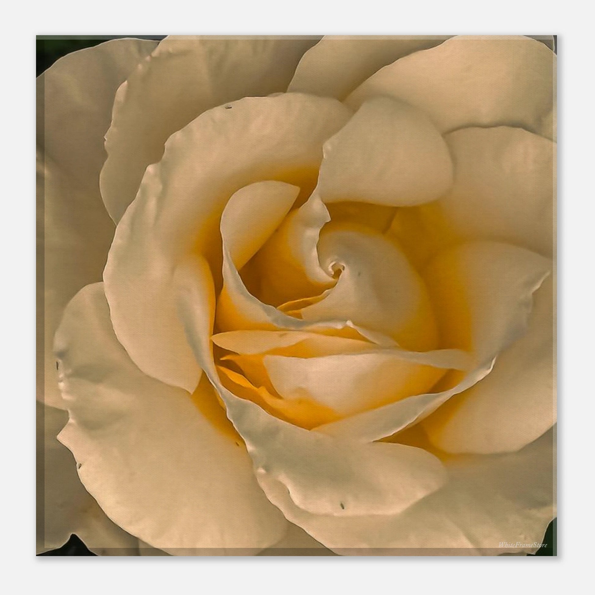 5d289274-85bd-4258-bcb8-7cbaea7ba283