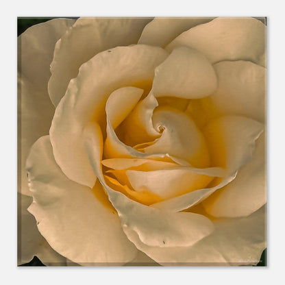 5d289274-85bd-4258-bcb8-7cbaea7ba283