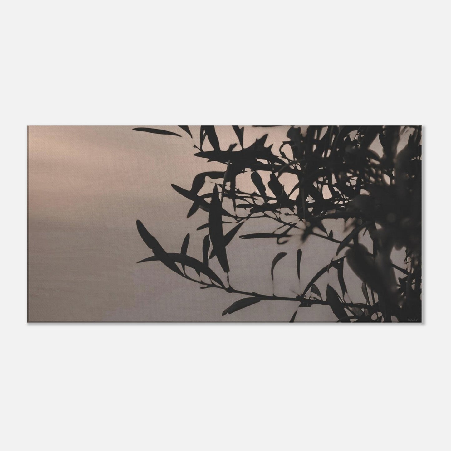 5d2c4376-681e-41ca-87e5-65f8f16a5ed4