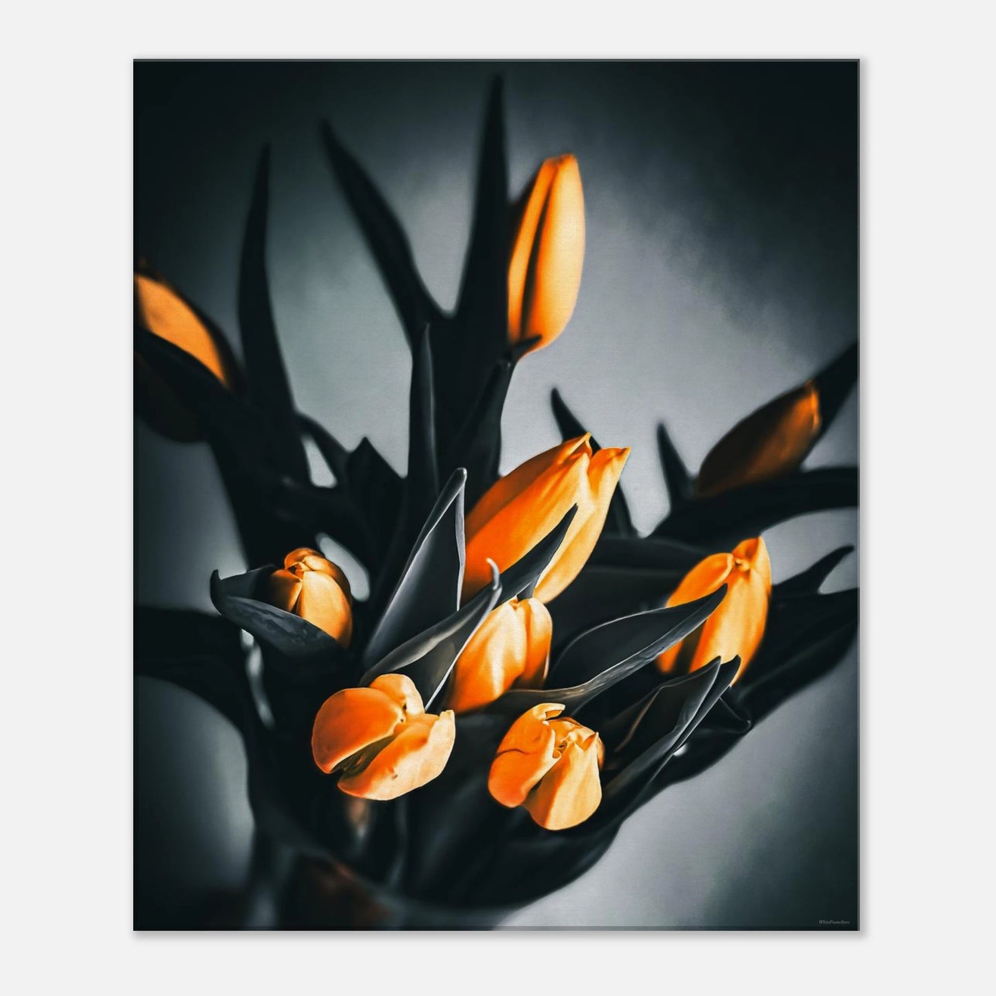 5d42ff9e-d209-4ee7-a895-5b8438b5d759