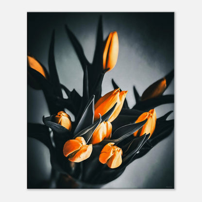 5d42ff9e-d209-4ee7-a895-5b8438b5d759