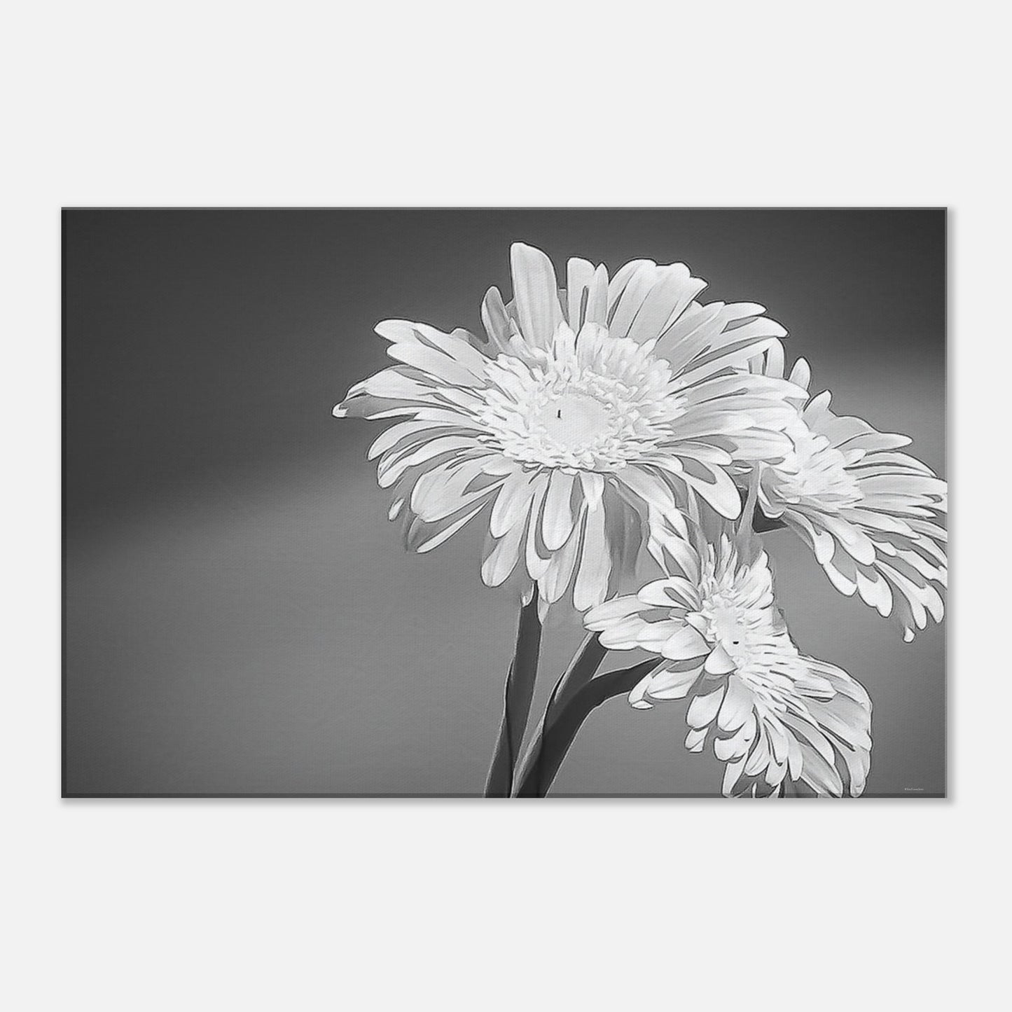 5d478438-59ae-4cf7-9b62-a789ed2abca6