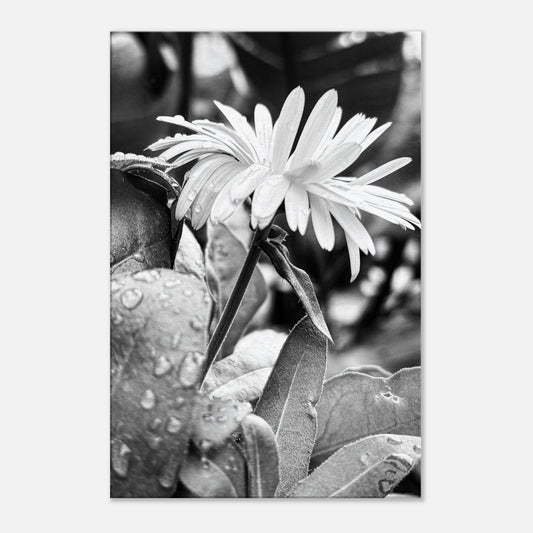 5d4d9424-d44d-4501-8c7e-fb716b843d4e