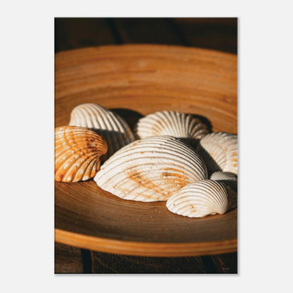 5d509bba-e87b-4514-995e-29370f7503f7